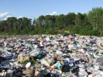 Как получить 5 миллионов чистой прибыли в день на новосибирском мусоре? 