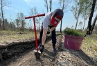 Команда Виталия Новоселова высадила около 300 деревьев в Искитимском районе