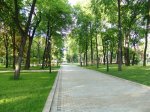 В Новосибирске продолжают развивать зеленые зоны