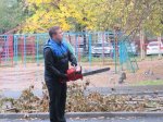 Георгий Андреев провел спил аварийных деревьев в Дзержинском районе