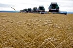 Новосибирские аграрии надеются на лето