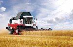 Новосибирские аграрии подвели итоги года: «Селяне отброшены на 10 лет назад»
