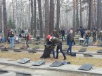 Студенческие отряды Новосибирска привели в порядок места захоронения воинов-сибиряков
