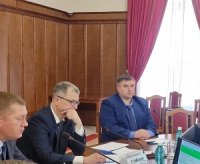 Роман Яковлев предложил создать рабочую группу по озеленению муниципалитетов