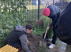 Антон Бурмистров вместе с учащимися школы и педагогами высадил ели около образовательного учреждения