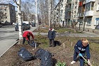 Комсомольцы помогли ветерану восстановить цветочный сад в Первомайском районе