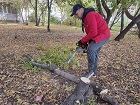 Виталий Быков помог спилить аварийные деревья в Дзержинском районе
