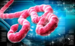 Новосибирское лекарство от Эболы признали главным изобретением 2019 года