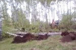 В районе села Каменка варварским способом уничтожают лес