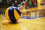 Новосибирский волейбольный центр прошел госэкспертизу