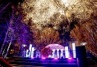 В честь символа новогодней столицы в Новосибирске прогремел фейерверк