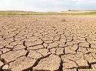 «Если дожди до 10 числа не пройдут — все затраты на посевы будут напрасными»: В Купинском районе ввели режим ЧС из-за засухи