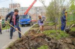 Артем Скатов принял участие в городской акции «Посади дерево»