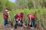150 деревьев высадили активисты КПРФ в Заельцовском районе