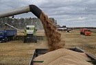 Сельхозпроизводство в России упало на 10% в сравнении с прошлым годом