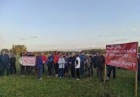 Более 400 человек выступили против мега-свалки на границе двух районов Новосибирской области