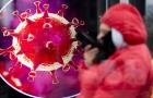 Ущерб от пандемии составил почти триллион рублей