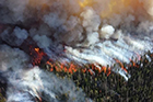 В России десятикратно вырастут штрафы за лесные пожары