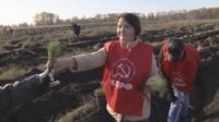 «Сад Победы — Сад Жизни»: Коммунисты высадили более 10 000 сосен