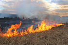 К пожароопасному сезону готовятся власти Новосибирской области 