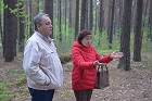 Жители Мошковского района пожаловались Ренату Сулейманову на вырубку деревьев