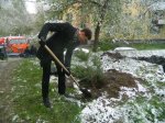 Депутат Иван Конобеев одним из первых принял участие в акции «Посади дерево»