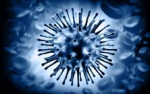 Новосибирские ученые разрабатывают вакцину от китайского коронавируса