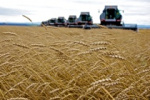 Новосибирские аграрии: Соберем урожай в срок