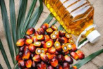 «Пальмовое масло, фрукты и ягоды»: Депутаты Госдумы продолжают корректировать ставку НДС