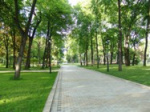 В Новосибирске открыли первый дисперсный парк