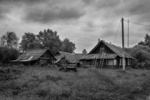 В Новосибирской области продолжают вымирать деревни