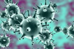 Сибирские ученые начали испытания вакцин против коронавируса