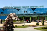 Новосибирский зоопарк планируют открыть ради животных