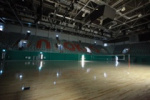 Волейбольный центр мирового уровня откроют до конца лета в Новосибирске