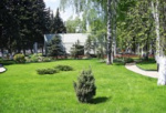 «Сады памяти» высадят в Новосибирске 