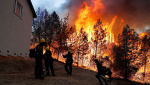 Новосибирская область: Количество лесных пожаров увеличилось в четыре раза за неделю