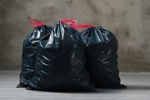 Пенсионерка из Бердска отправит Дмитрию Медведеву 200 грамм мусора