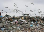 Вадим Агеенко: За очередную «мусорную реформу» заплатят бедные