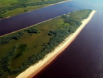 Острова на Оби защитят от застройки