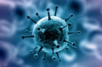 «Вектор» создал три эффективных прототипа вакцин от коронавируса